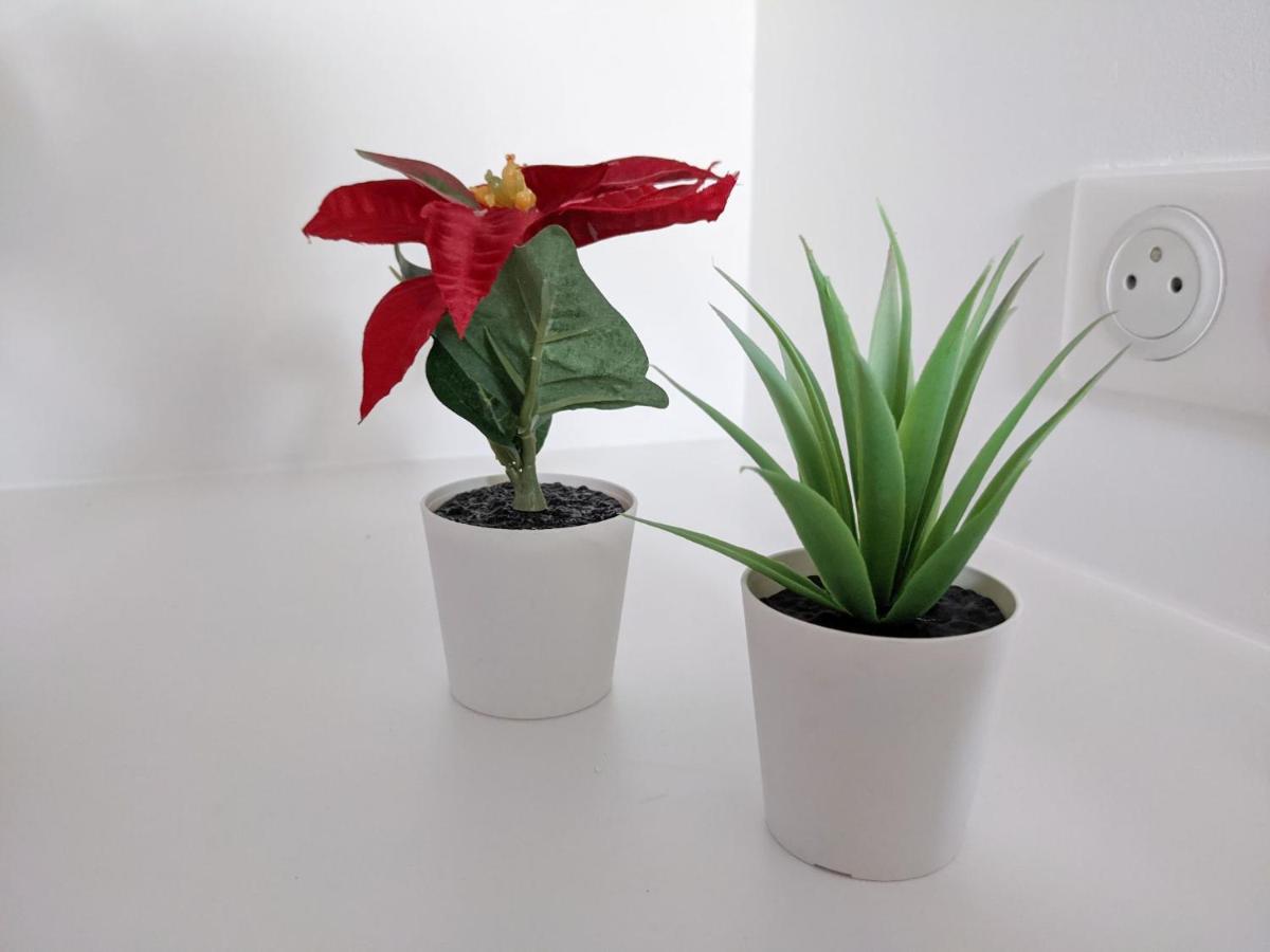 Reves Paisibles Rubis - Choisy 아파트 외부 사진